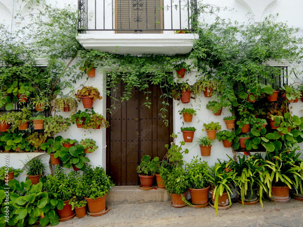 Blumentöpfe an Hauswand in spanischem Dorf