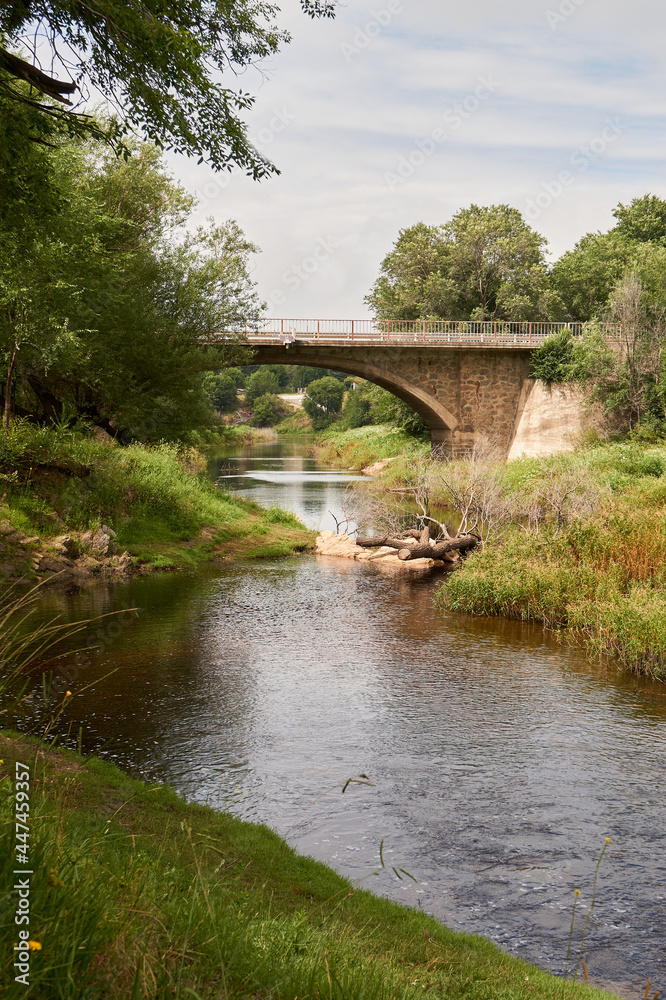 Landscape of a river with grass and trees.