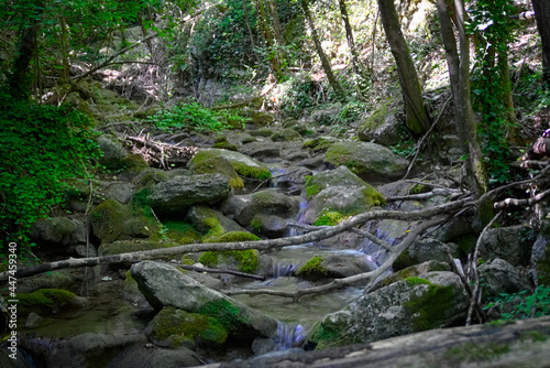 Ruscello lungo il sentiero per le cascate del Fosso di Teria a Secchiano nelle Marche