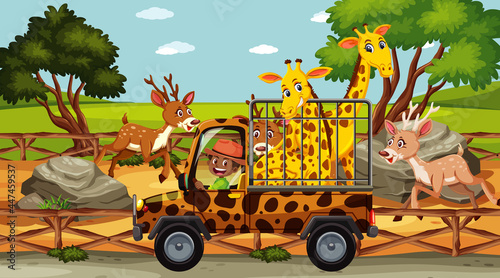 Safari scene with many deers and giraffes in a cage car