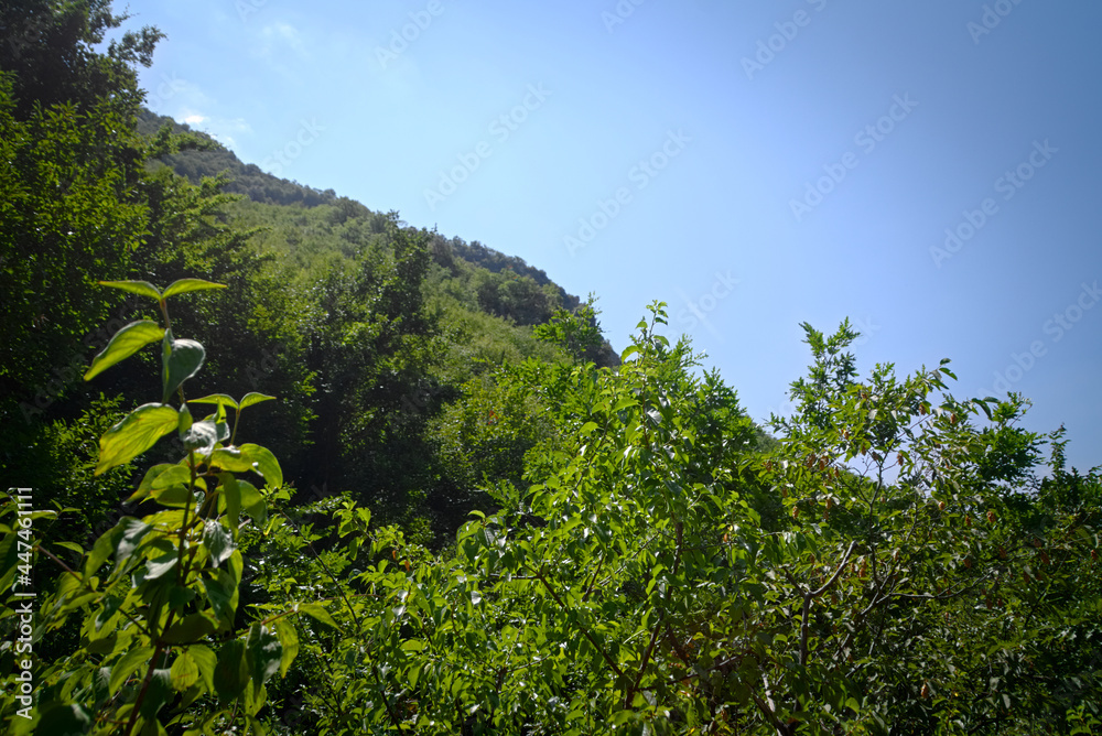 Panorama lungo il sentiero delle cascate del Fosso di Teria a Secchiano nelle Marche Panorama lungo il sentiero delle cascate del Fosso di Teria a Secchiano nelle Marche