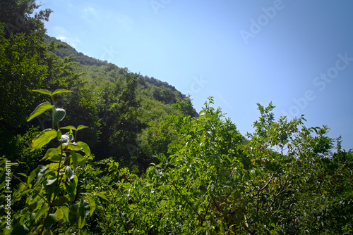 Panorama lungo il sentiero delle cascate del Fosso di Teria a Secchiano nelle Marche