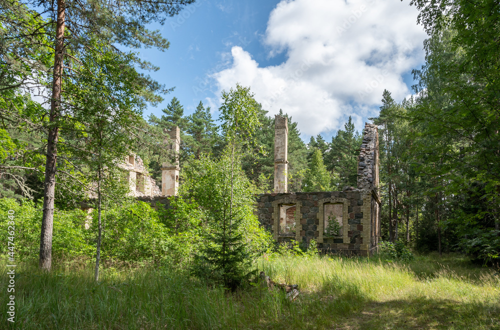 Fototapeta premium ruins 