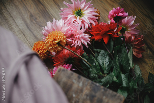 Autumn flowers bouquet on wooden floor in rustic room, view above. Woman in linen dress arranging beautiful colorful dahlias. Autumn season in countryside, rural slow life. Florist