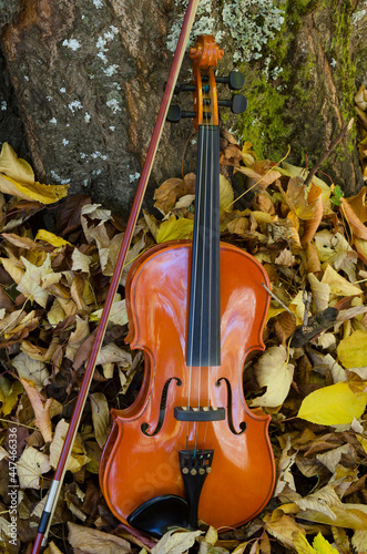 close-up violin and classical wooden bow in natural environment