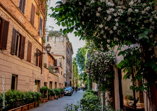 Roma, via Margutta photo