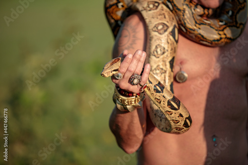Snake in hand with rings and bracelets. Snake charmer