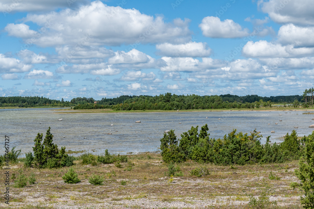 estonina landscape with sea view