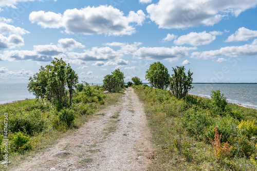 estonian summer © Urmas