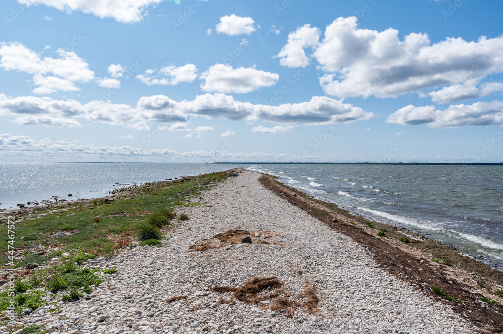 estonina landscape with sea view