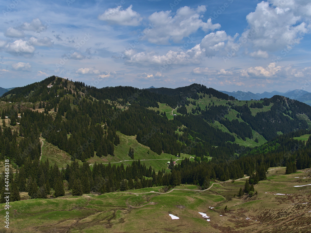 Beautiful view of the Hörner Group in the Allgäu Alps with Großer Ochsenkopf peak near Oberstdorf, Bavaria, Germany in early summer with green meadows and trees on sunny day with cloudy sky.