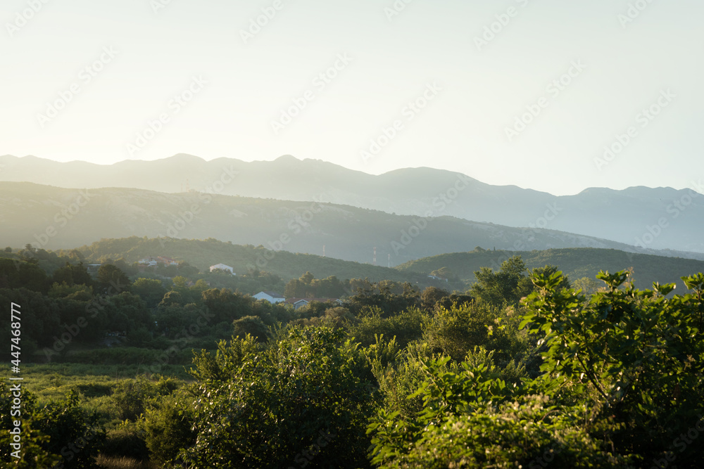 Naklejka premium Green vegetation at Kampor on the island of Rab Croatia at sunrise