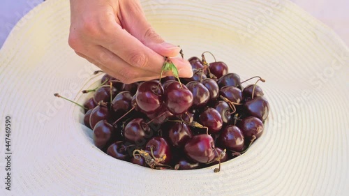 hand holding a couple of cherries