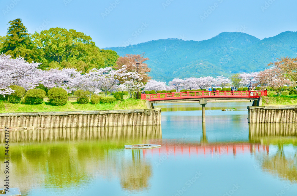 Obraz premium Balance of crimson bridge, lake, cherry blossoms and mountains