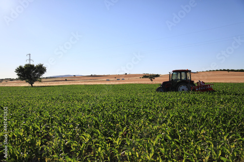 tractor in green field