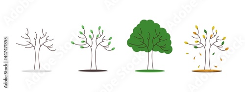 Four seasons tree. Winter  autumn  spring and summer. The tree at different times of the year. Vector illustration