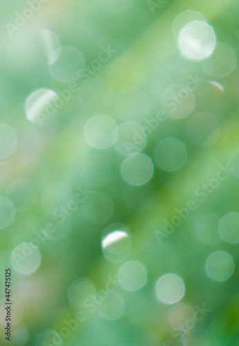 Natural abstract background with defocus lights