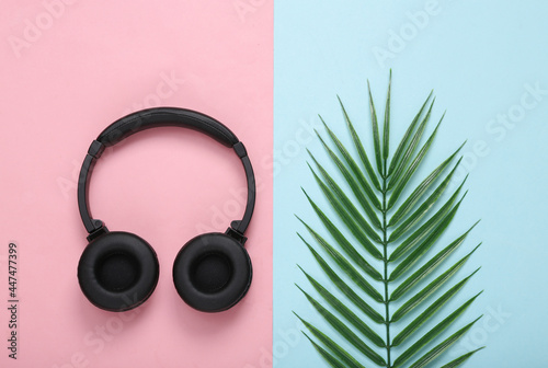 Headphones and palm green leaf on pink blue background. Music concept. Tropical composition. Top view. Flat lay