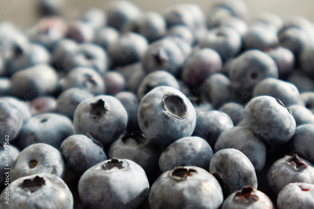 Fresh blueberries background. Berries close up, Texture blueberry. Fresh blueberries background. Berries close up, Texture blueberry.
