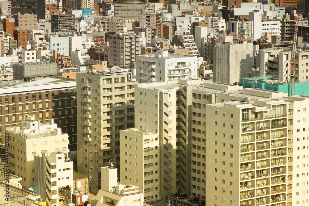 Fototapeta premium Bunkyo, Tokyo - Japan landmark