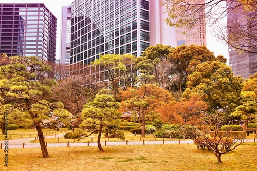 Tokyo - Hama Rikyu gardens - Japan landmark photo