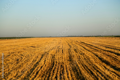 plowed hay field © ompstock