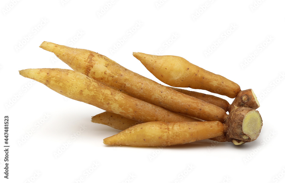 Finger root (Krachai) isolated on white background, cut out. Finger root (Krachai) isolated on white background, cut out.