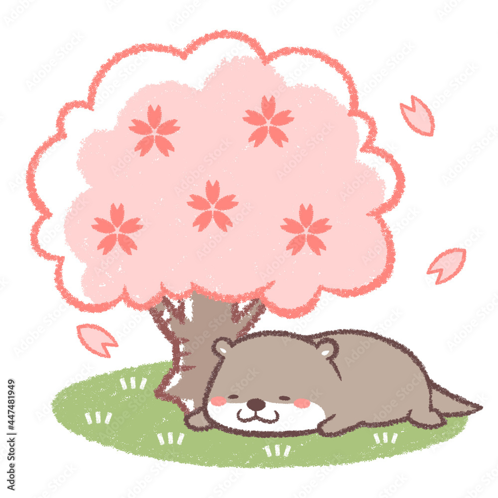 Fototapeta premium サクラとカワウソ
