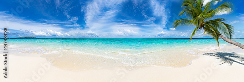 Fototapeta Naklejka Na Ścianę i Meble -  panorama view tropical beautiful paradise beach with coco palm tree and turquoise blue clear water. tourism vacation and relaxation wide background