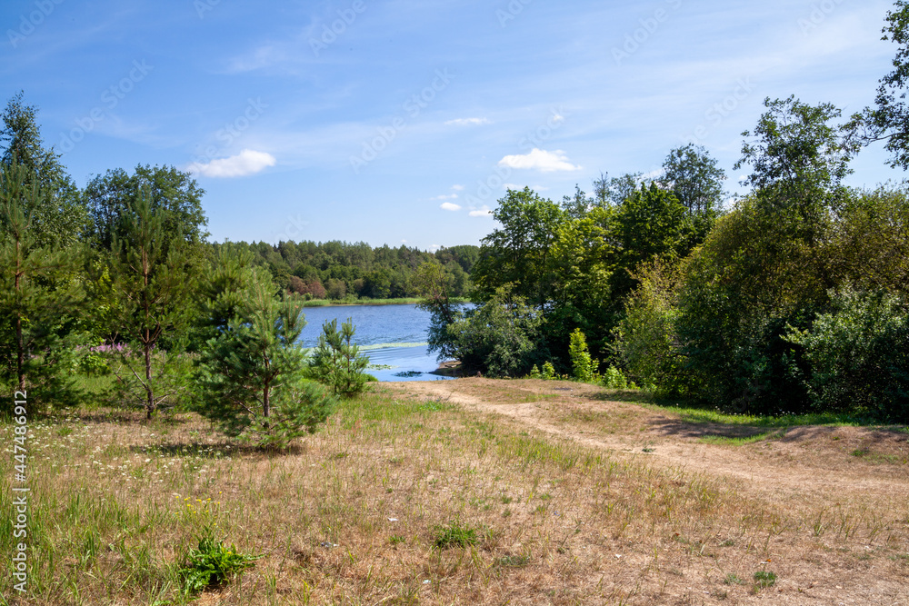 A sandy road among grass and green trees to the Narva River in Estonia on a sunny day under the blue sea. A sandy road among grass and green trees to the Narva River in Estonia on a sunny day under the blue sea.