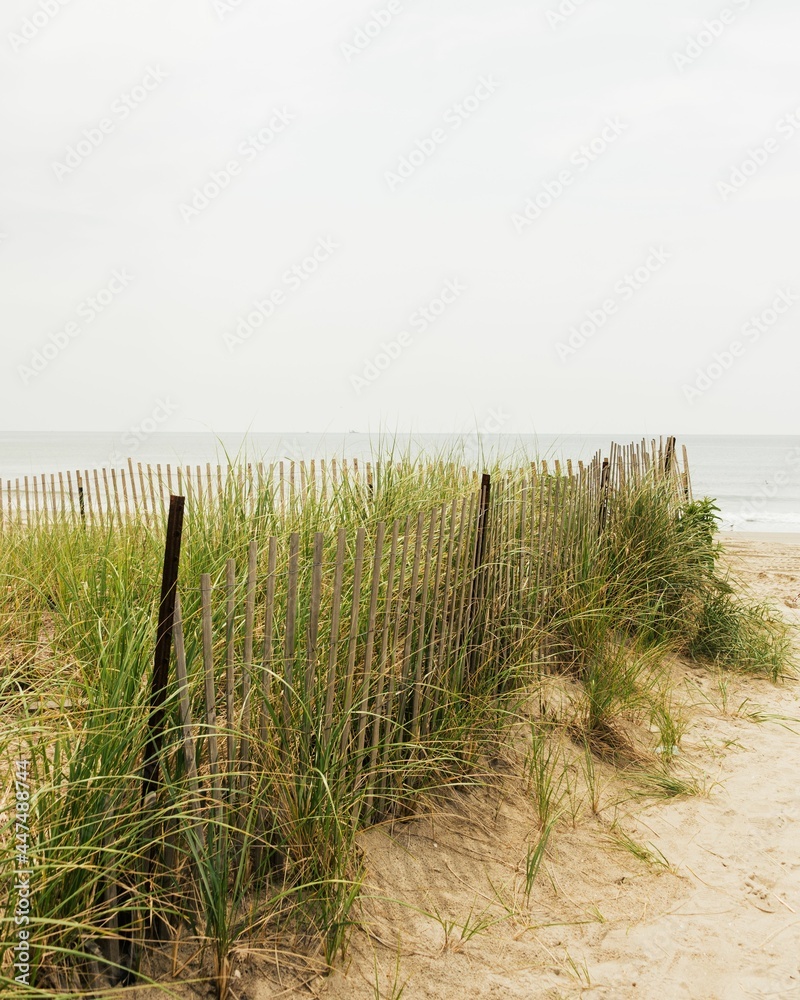 Obraz premium Sand dunes with fence and grasses in the Rockaways, Queens, New York City