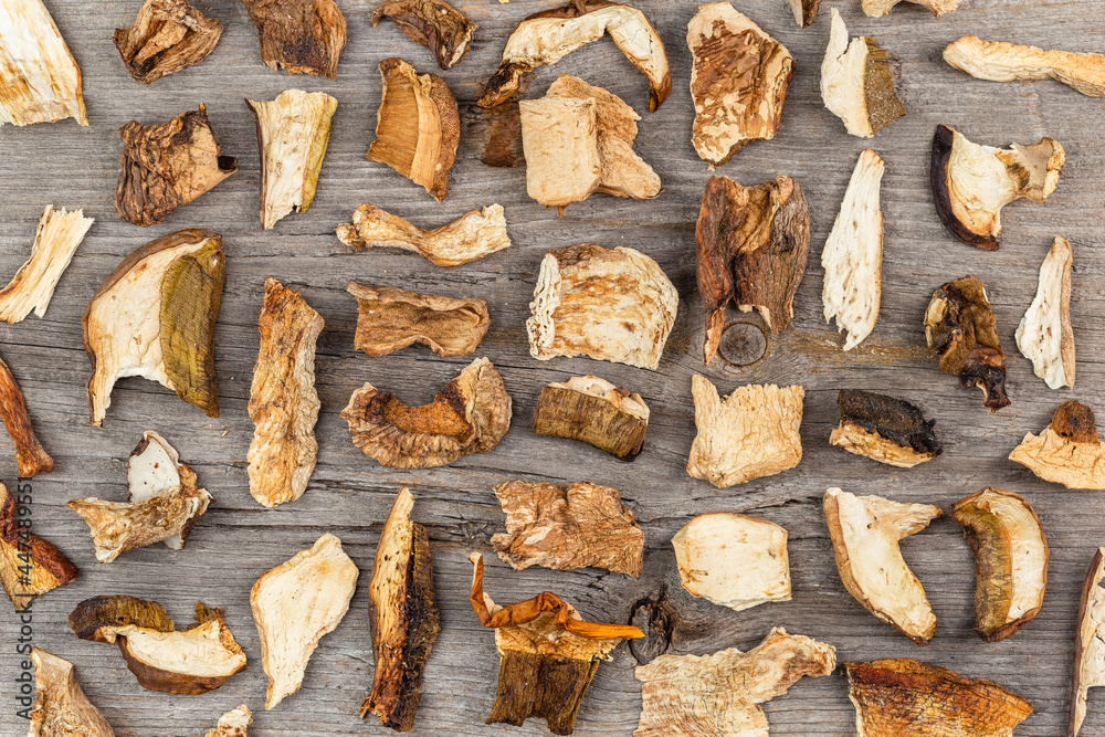 Dry Sliced Porcino mushroom on wooden background Dry Sliced Porcino mushroom on wooden background