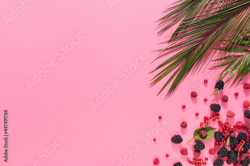Berries under tropical green palm leaves. paper.Juicy,fresh raspberries,blackberries and currants on pastel pink background with copy space, organic. Top view.Flat lay.