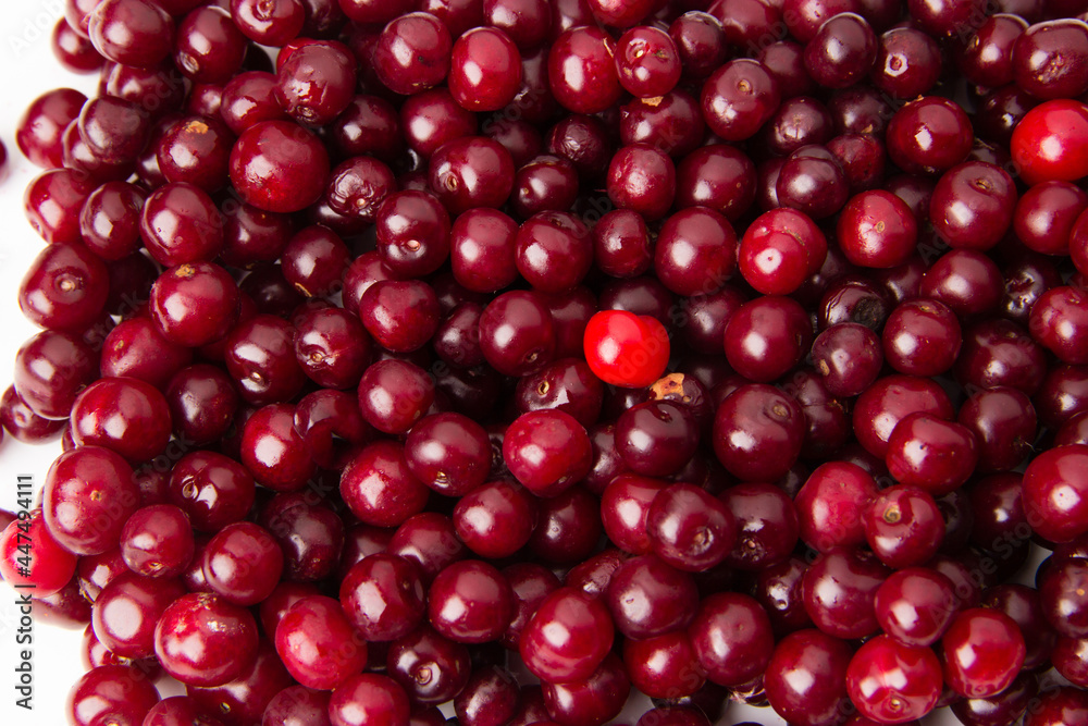 A lot of cherries covering white table A lot of cherries covering white table