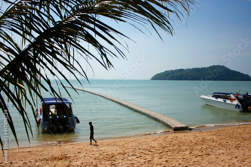 Boats on the seaside with the palm tree