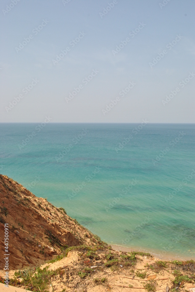 Beautiful seashore in summer. Calm blue sea landscape. Stony and sandy seashore. Flowers on rocky cliff. Sunny seascape. Netanya city, Israel Beautiful seashore in summer. Calm blue sea landscape. Stony and sandy seashore. Flowers on rocky cliff. Sunny seascape. Netanya city, Israel