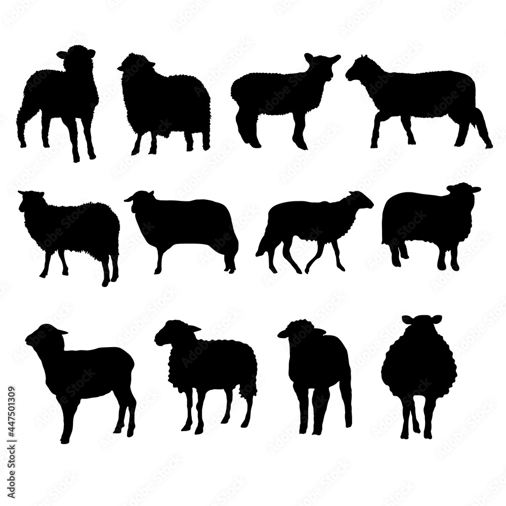 Set of Sheep Silhouette vector Illustration Eps 10 Set of Sheep Silhouette vector Illustration Eps 10