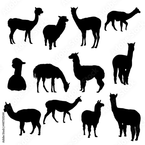 Collection of silhouettes of alpacas