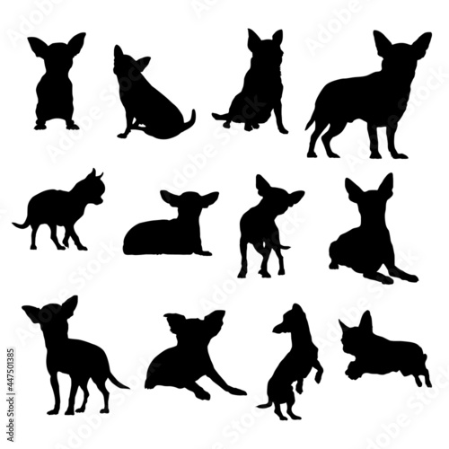 Chihuahua dog vector silhouettes Illustration Eps 10