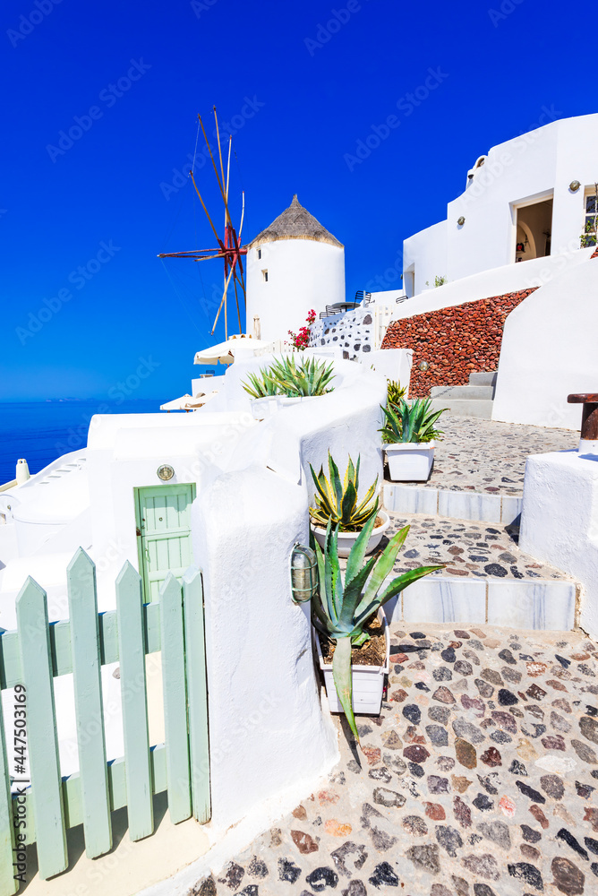 Fototapeta premium Santorini, Greece and Oia windmill