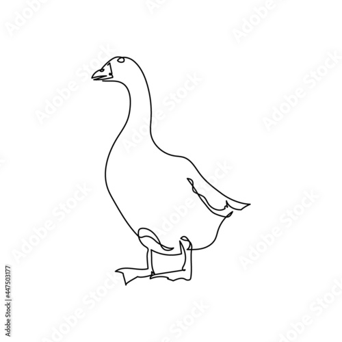 Duck one line art. Continuous line drawing of poultry, domestic animal.