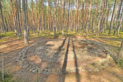 Cmentarzysko z kręgami kamiennymi w Grzybnicy, Polska photo
