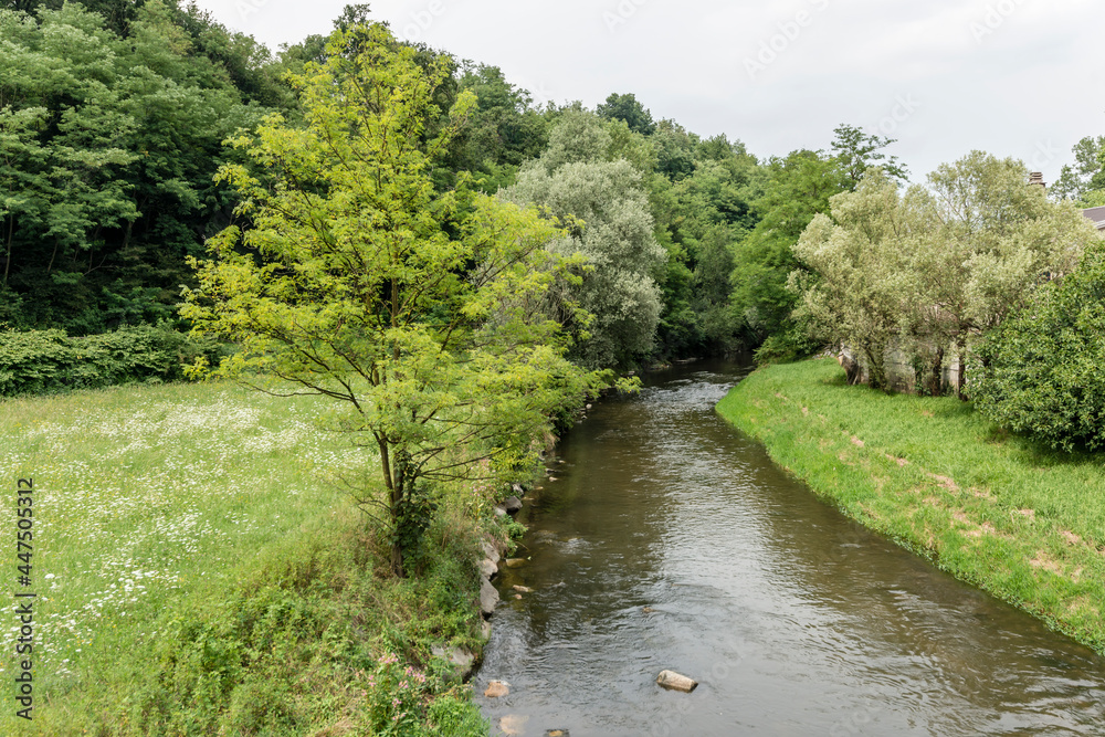 Fototapeta premium Olona river in green valley countryside, Gornate Olona, Italy