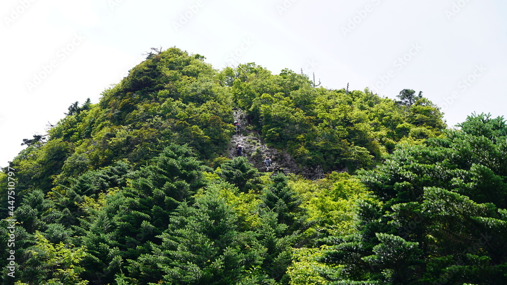 石鎚山 登山道の風景