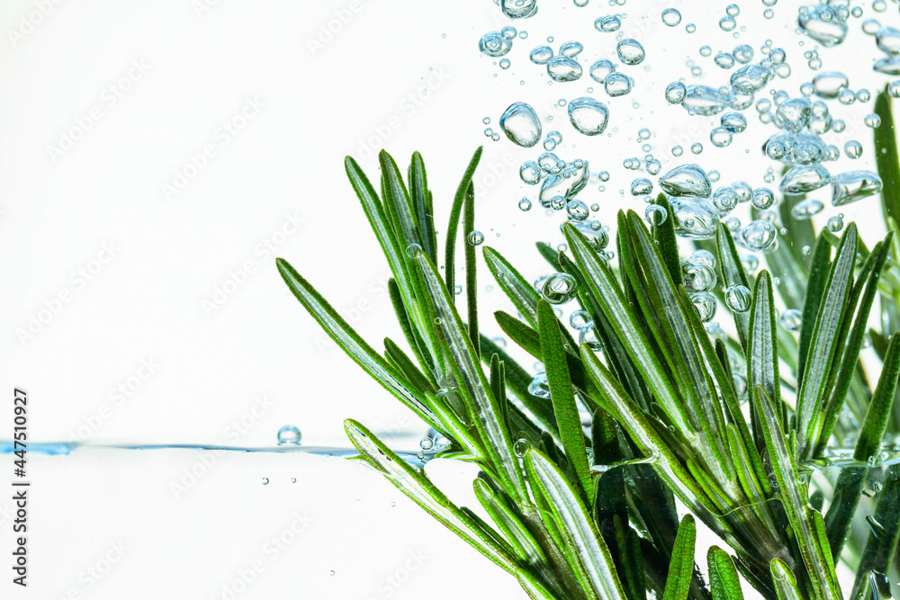 Rosemary bunch in water with bubbles. Rosemary bunch in water with bubbles.