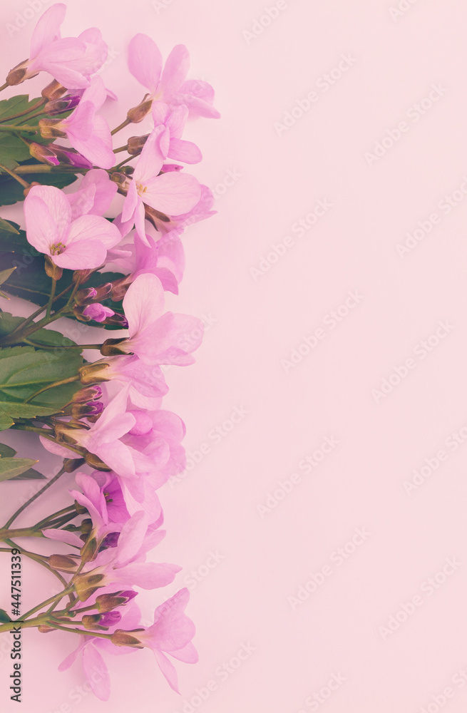 Fototapeta premium Pink spring flowers on pastel background. For your mobile cell phone, wallpaper or screen saver.