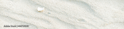 beautiful sand by the sea and a seashell. Panorama
