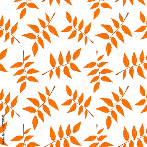 vector pattern with autumn leaves on a white background