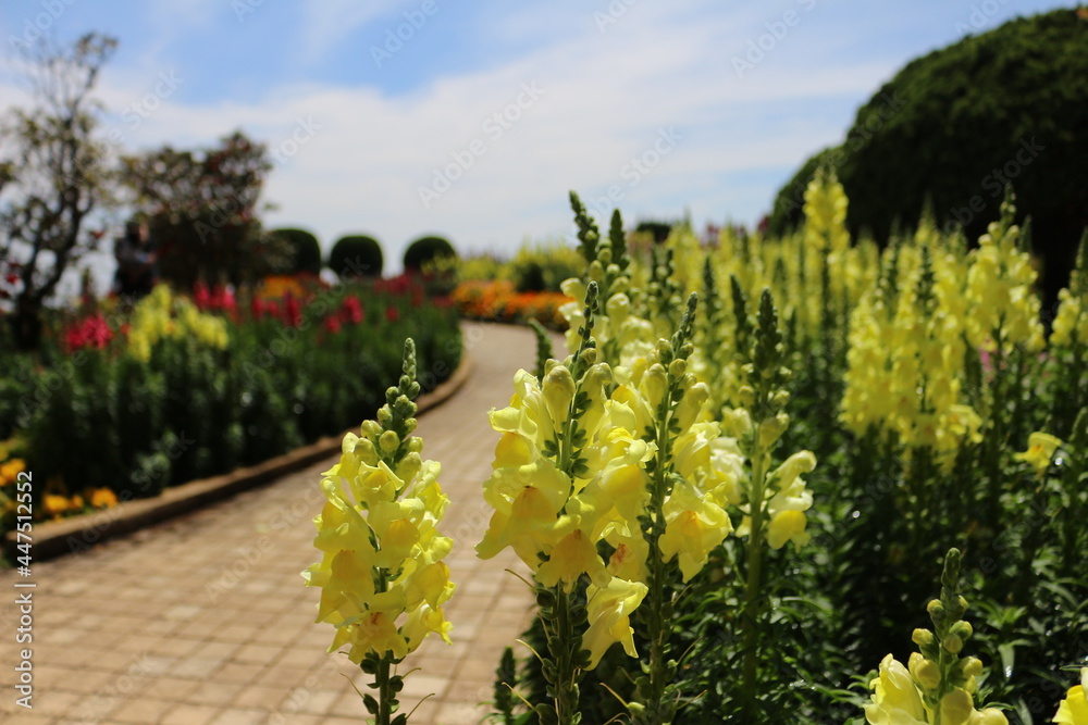 Doi inthanon - Thailand Doi inthanon - Thailand