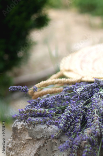 Straw bag with fresh picked lavender flowers. Selective focus.